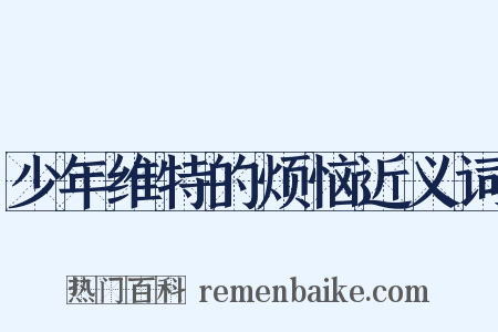 少年维特的烦恼近义词是什么意思的图片